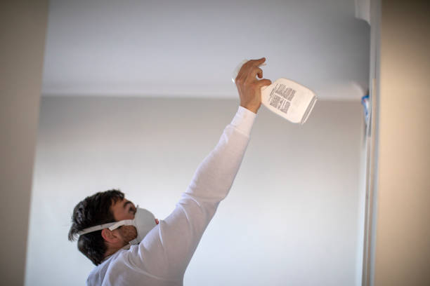 Best Mold Testing  in Walce Ridge, LA